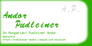 andor pudleiner business card